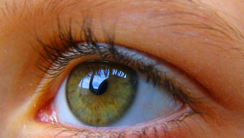 Celulele stem pot reface vederea