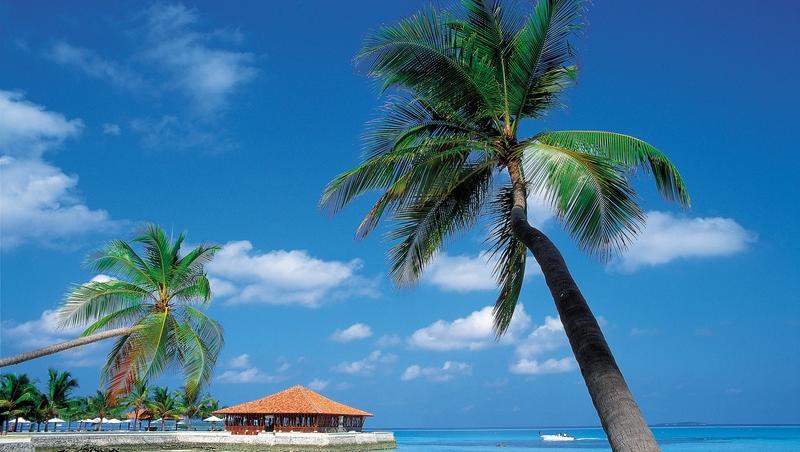 Afla pericolele din paradisul turistic al Insulelor Caraibe!