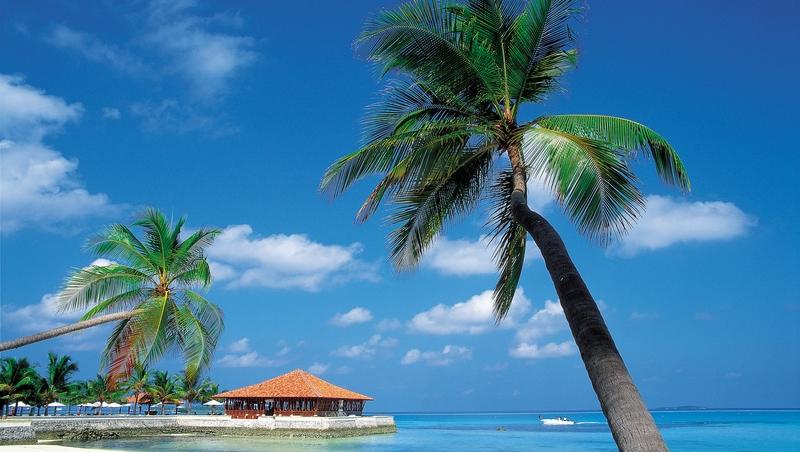 Afla pericolele din paradisul turistic al Insulelor Caraibe!