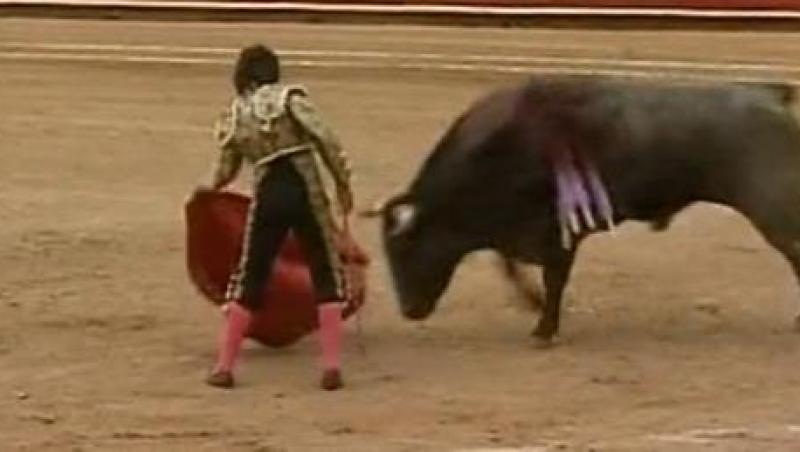 VIDEO! Un matador de doar 12 ani a fost doborat de un taur