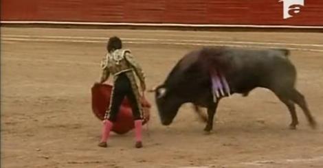 VIDEO! Un matador de doar 12 ani a fost doborat de un taur