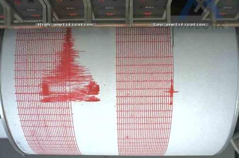 Cutremur de 4,8 grade pe scara Richter, in Vrancea