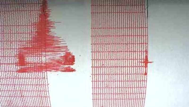 Cutremur de 4,8 grade pe scara Richter, in Vrancea