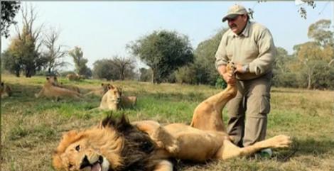 VIDEO! O slujba periculoasa: le face masaj leilor!