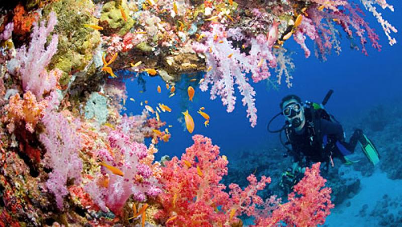 Cele mai frumoase locuri din lume pentru scufundari
