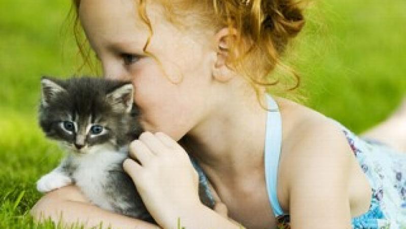 Pisicile, importante pentru sanatatea copiilor