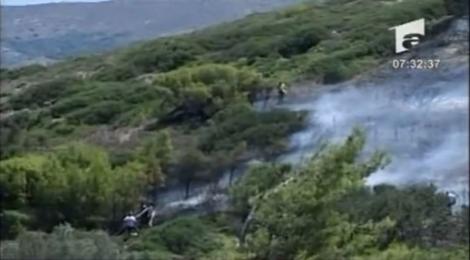 VIDEO / Incendii de vegetatie in Grecia
