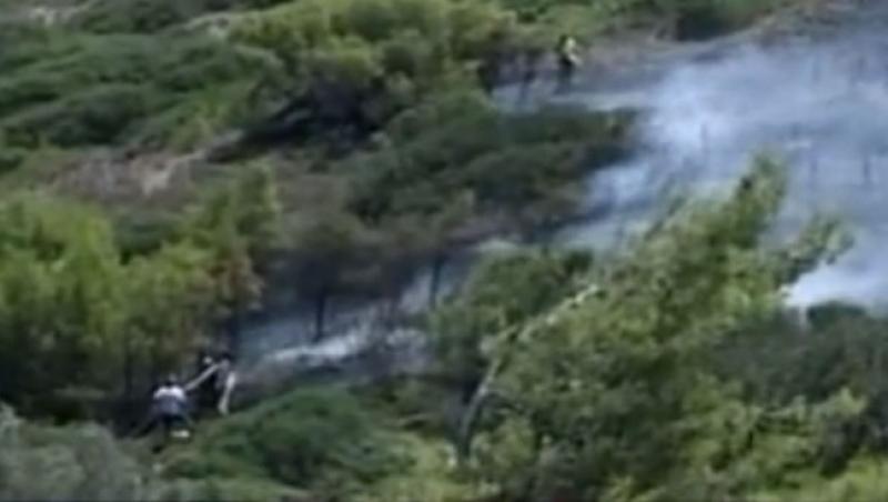 VIDEO / Incendii de vegetatie in Grecia