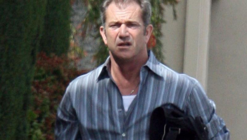 Mel Gibson a facut 15 milioane de dolari din imobiliare