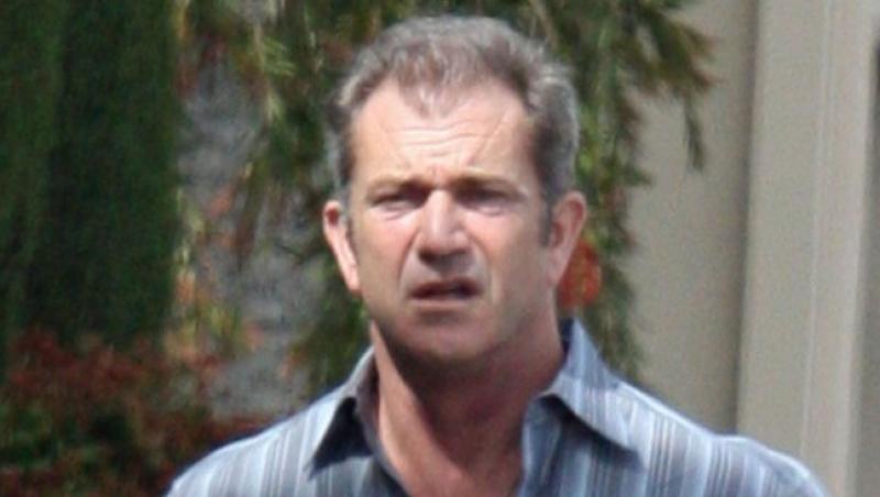 Mel Gibson a facut 15 milioane de dolari din imobiliare