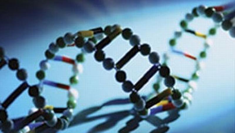 Cercetatorii au descoperit genele care indica cine traieste 100 de ani