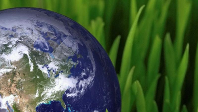 VIDEO! Calatorie eco in jurul lumii
