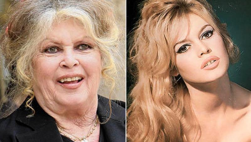 Brigitte Bardot saluta interzicerea luptelor cu tauri in Catalunia