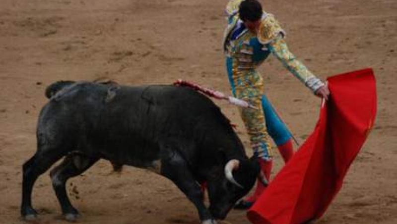 Catalunia interzice corrida