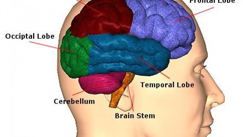 Principalii factori ai accidentelor vasculare cerebrale