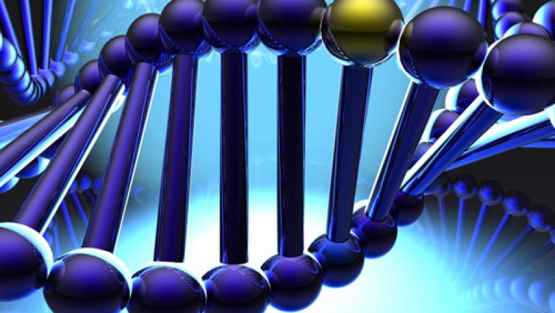 S-au descoperit genele care indica longevitatea