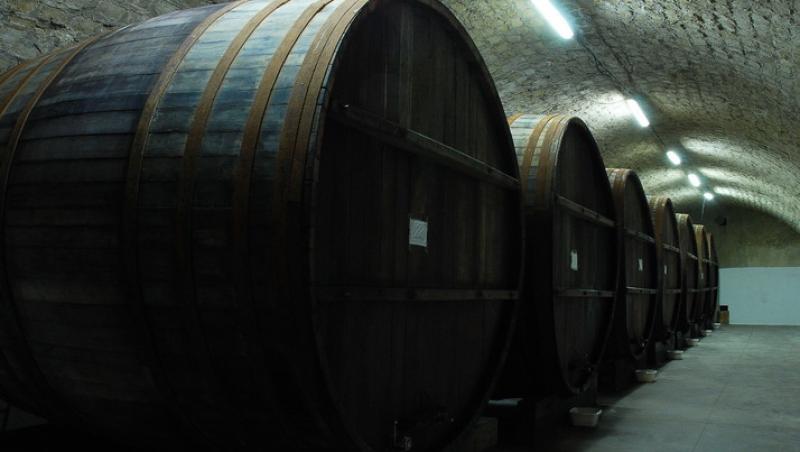 Rusii spun ca vinurile moldovenesti sunt numai bune pentru vopsit gardurile