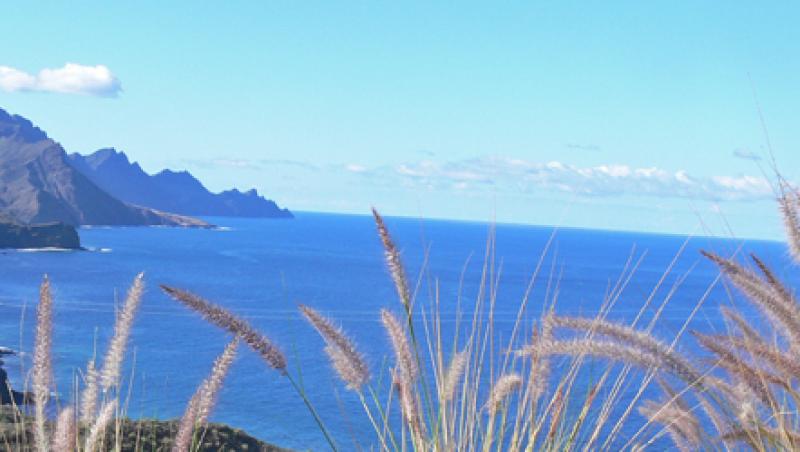 Insula Gran Canaria - de la desert la munte