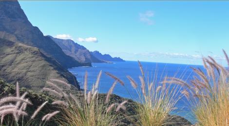 Insula Gran Canaria - de la desert la munte