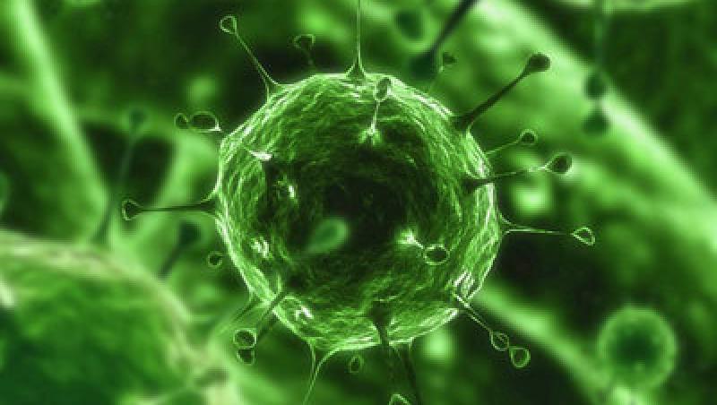 ALERTA! Enzima NDM 1 face bacteriile rezistente la antibiotice