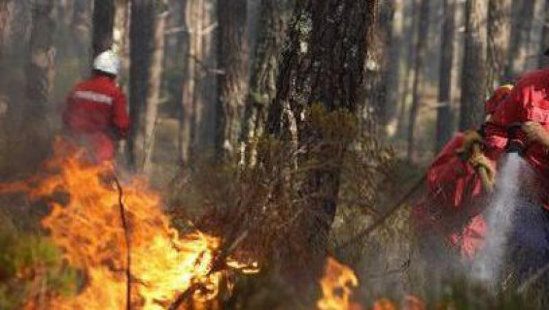 Incendiile de padure fac ravagii si in Portugalia