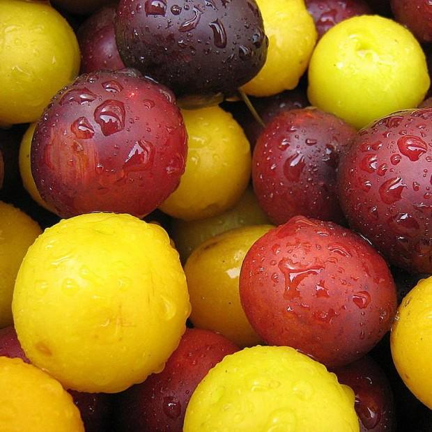 4 retete cu prune