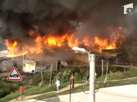 VIDEO! Un cartier din Baia Mare a luat foc