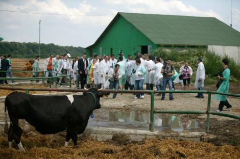 Romania, pe locul 8 in UE in functie de fondurile europene atrase in agricultura anul trecut