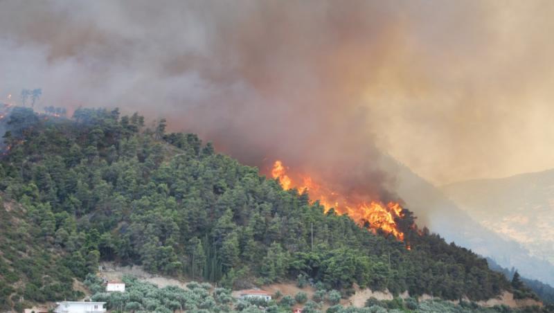 Grecia si Turcia afectate de puternice incendii de vegetatie