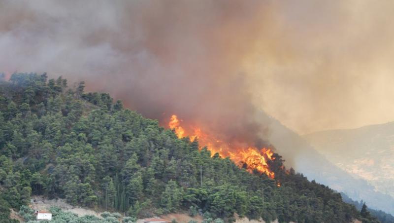 Grecia si Turcia afectate de puternice incendii de vegetatie