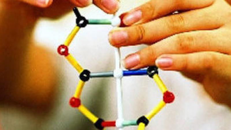 Cinci tipuri de jocuri care dezvolta inteligenta