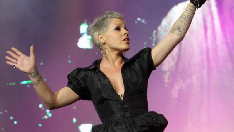 Pink le-a cerut fanilor ei sa boicoteze magazinele cu animale de companie