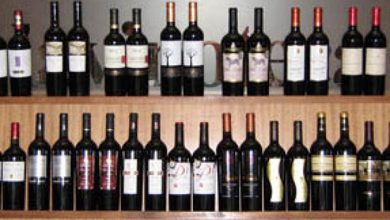 Povestea vinului din Chile