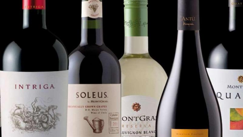 Povestea vinului din Chile