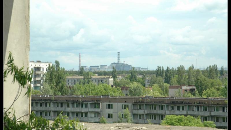 Plantele din zona Cernobal s-au adaptat la nivelul ridicat de radiatii
