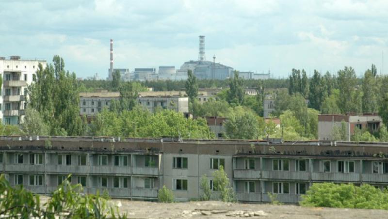 Plantele din zona Cernobal s-au adaptat la nivelul ridicat de radiatii