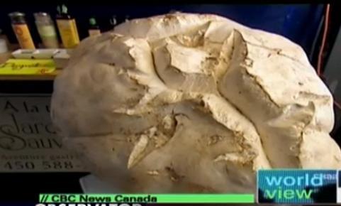 VIDEO! O ciuperca gigant a fost descoperita in Canada