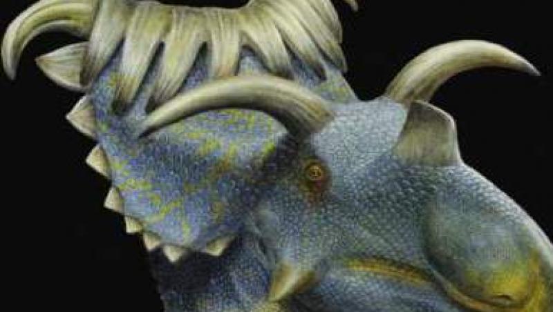 Dinozaur cu 15 coarne, descoperit in SUA
