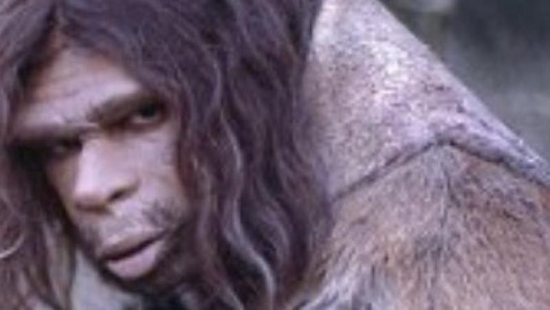 Neanderthalienii si-au creat singuri unelte, fara a intra in contact cu Homo sapiens