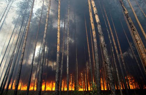 VIDEO! Rusia afectata din nou de incendii: Doi morti si peste 500 de case distruse!