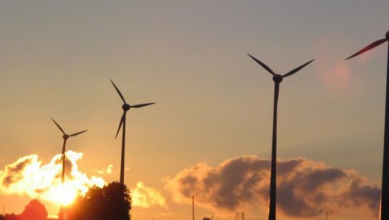CEZ a stopat proiectul eolian de 1.1 miliarde de euro din Dobrogea