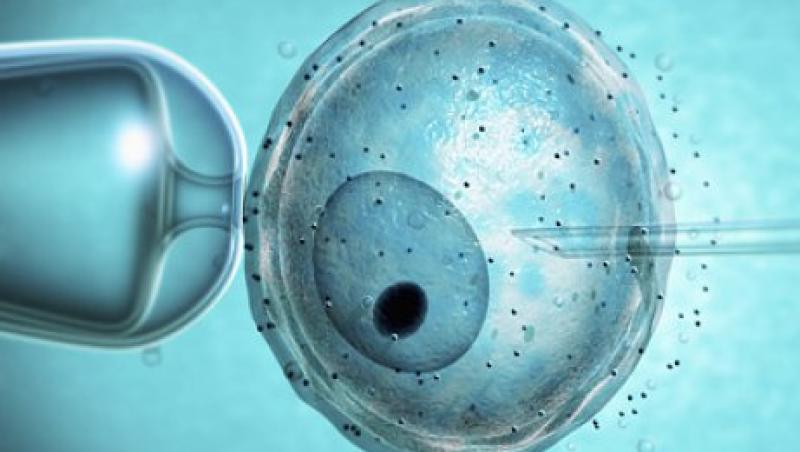 VIDEO! Afla mai multe despre fertilizarea in vitro