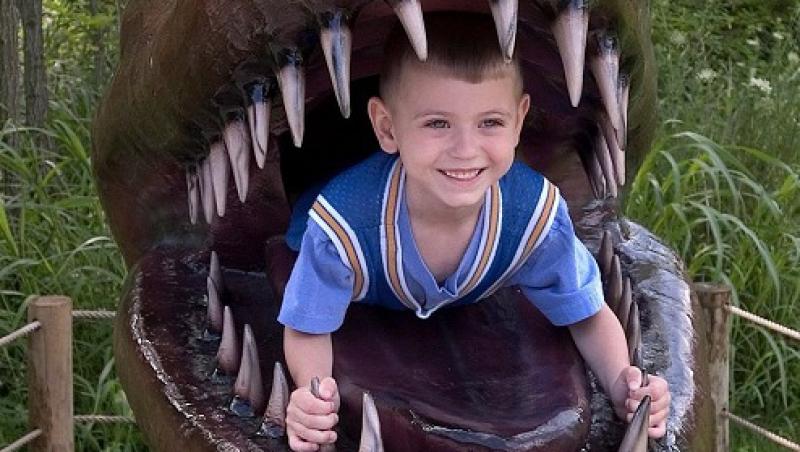 VIDEO! Cluj-Napoca: Cu mic, cu mare, in vizita la dinozauri