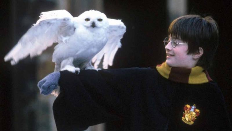 VIDEO! Prietenii lui Harry Potter au venit la Gradina Zoologica din Bucuresti