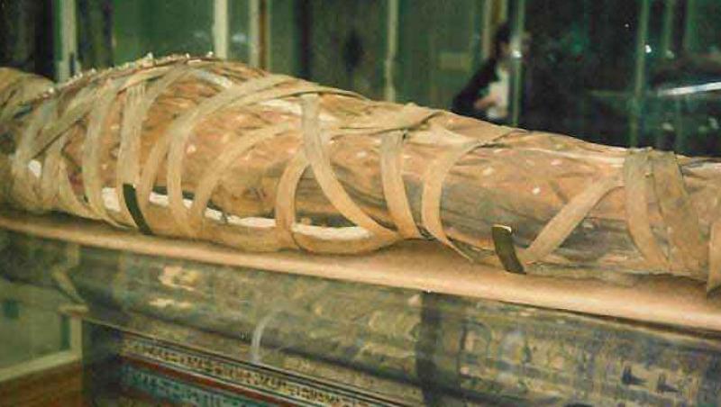 Doua mumii egiptene, grav avariate intr-o tentativa de furt