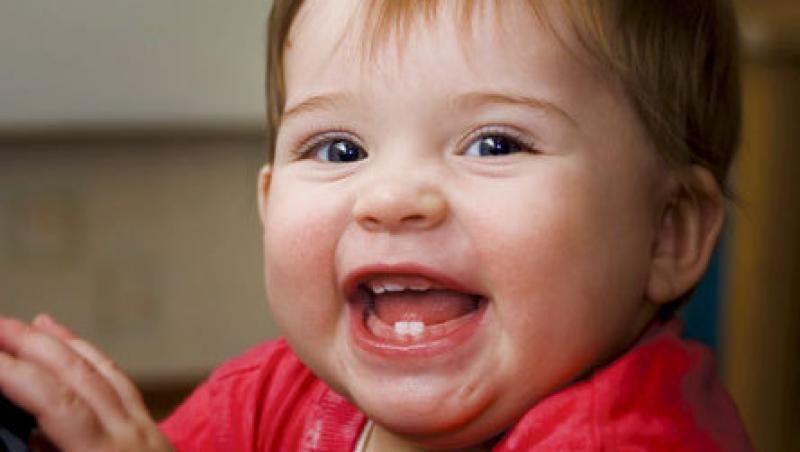 Dintii copilului tau sunt surse bune de celule stem