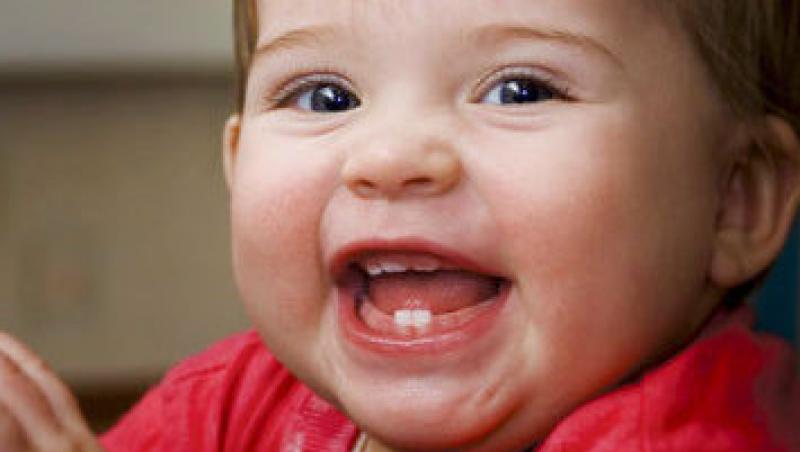 Dintii copilului tau sunt surse bune de celule stem