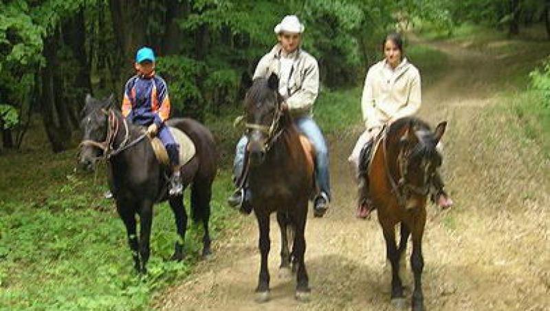 VIDEO! Plimbari cu caii pentru turistii de la Baile Felix