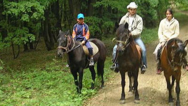 VIDEO! Plimbari cu caii pentru turistii de la Baile Felix