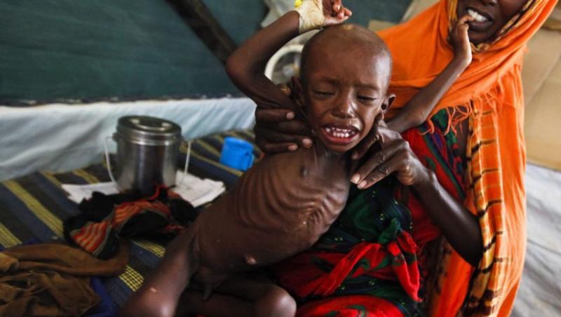 Raport ONU: Risc de foamete in 30-40 de ani din cauza suprapopularii!